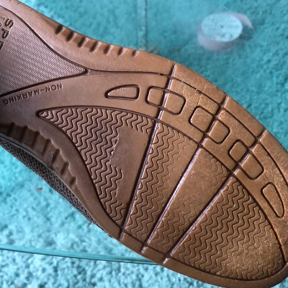 Angelfish Sperry - Picture 2 of 3